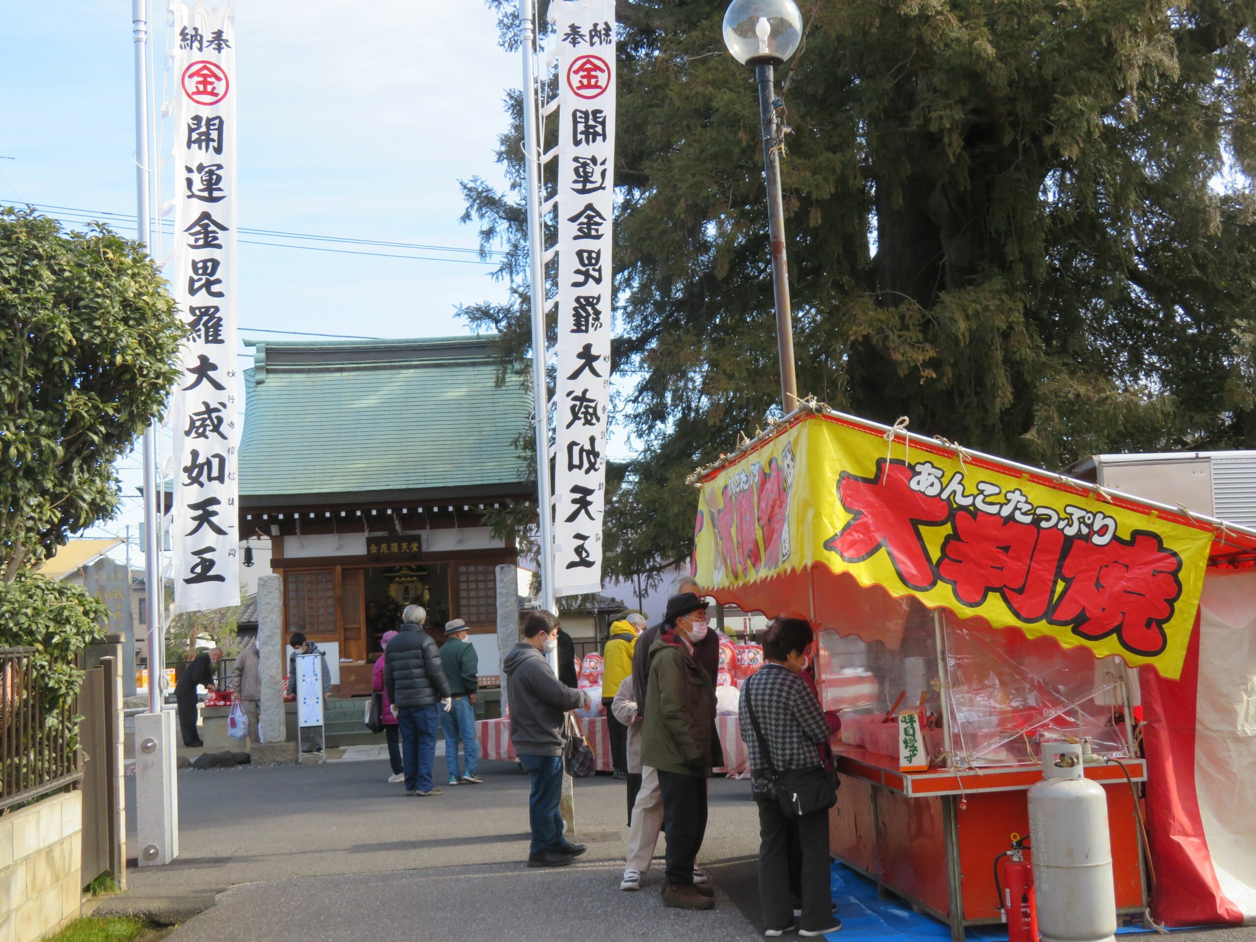 【鈴谷のだるま市】金比羅天堂の神木、与野の大カヤの根元に並ぶ縁起物
