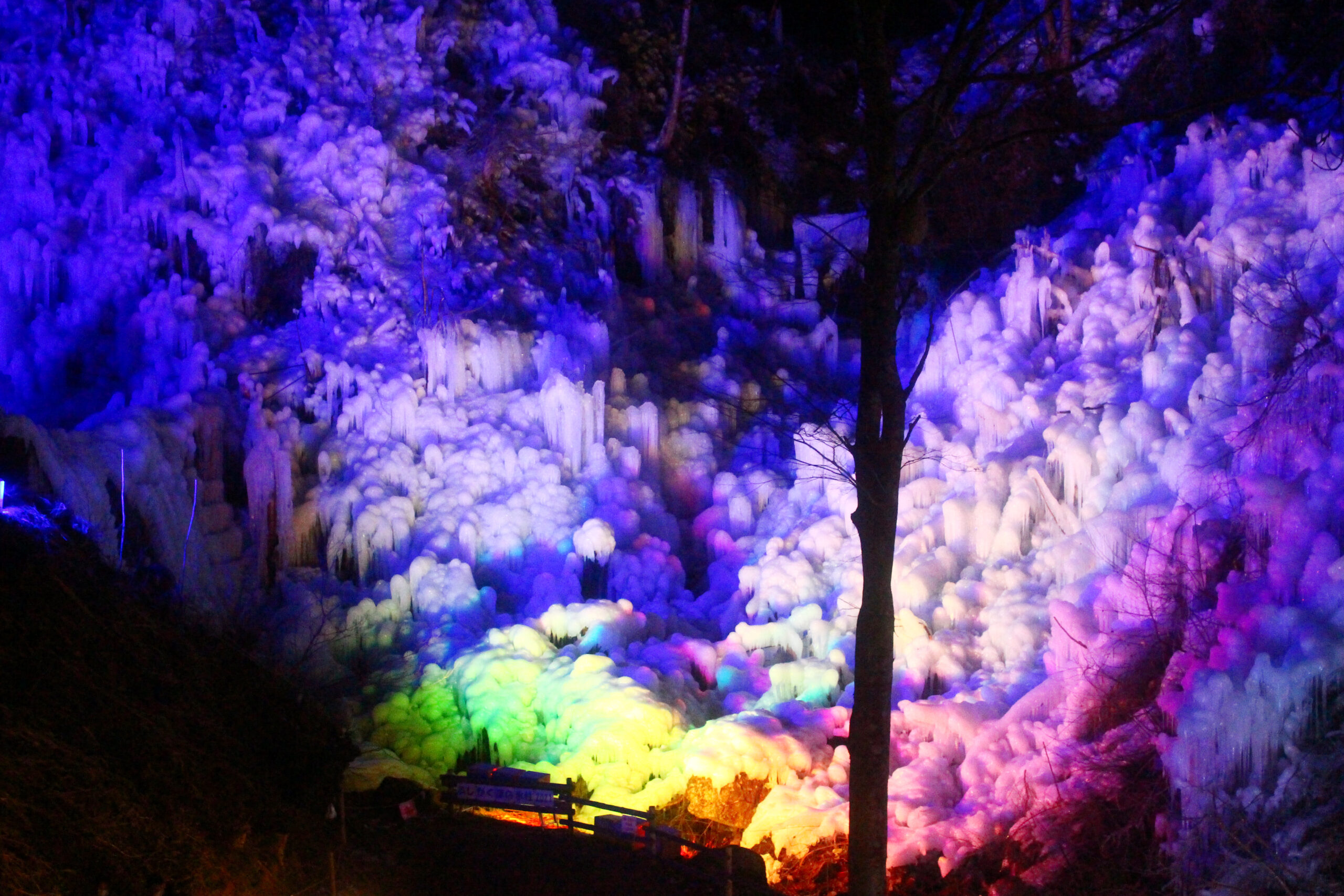 あしがくぼの氷柱2021をレポート 氷柱ライトアップ、プロジェクションマッピング、伝統芸能コラボ