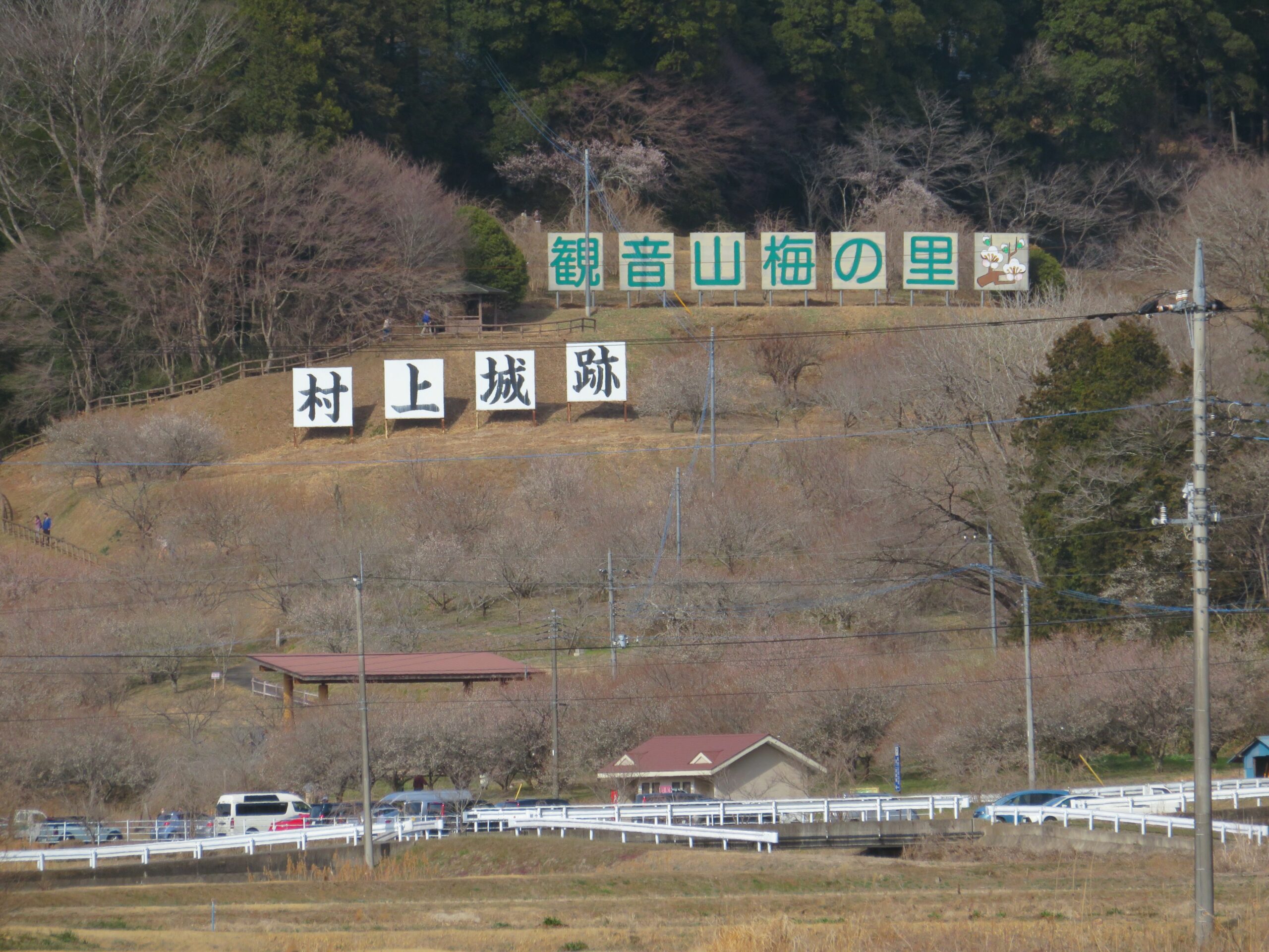 【観音山梅の里梅園梅まつり】渡り鳥の飛来を待つサシバの里に春を告げる花