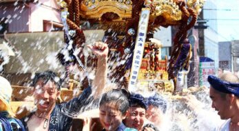 千葉県にはこんなお祭りあるの！？いますぐ行けるお祭りも！6月15日は「千葉県民の日」だから！