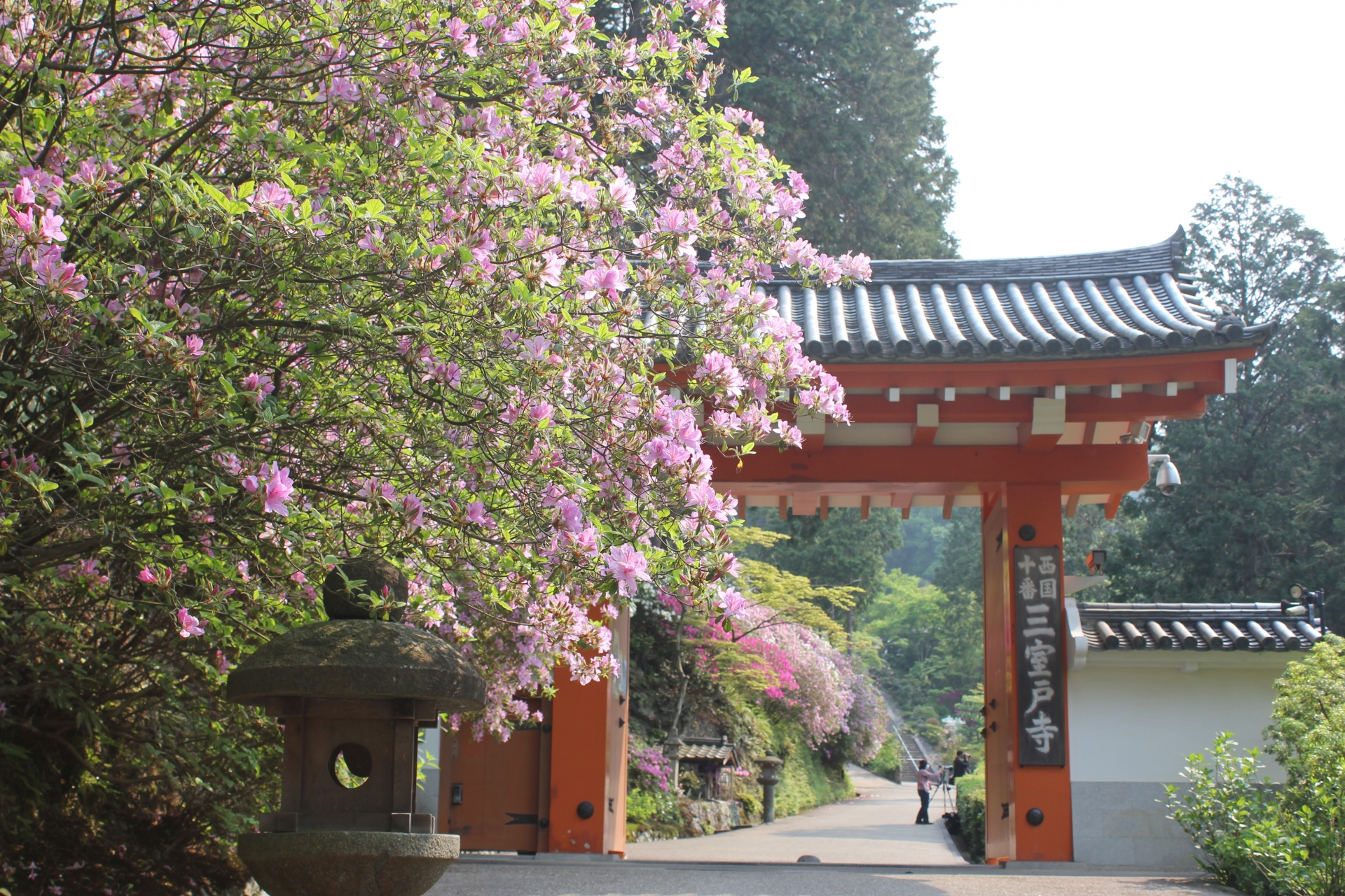 ウサギにまつわる5つのお寺をご紹介！身も心も癒される！