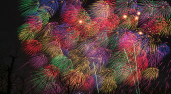 冬の長岡花火！雪しか祭りで感じた「長岡」らしさ