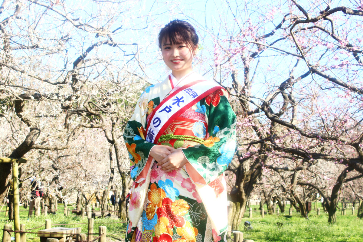 水戸の梅まつり2021開催中！梅満開の偕楽園で、梅大使が見どころを紹介！