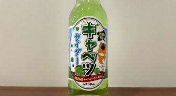 キャベツサイダーを飲んでみた！群馬名物の変わり種、実食レポ