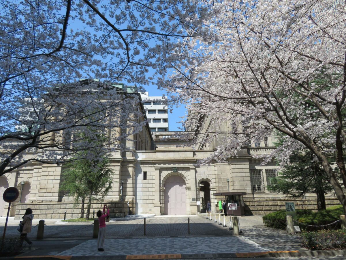 【江戸桜通りの桜】春を迎える日本銀行本店や日本橋三越本店本館、三井本館