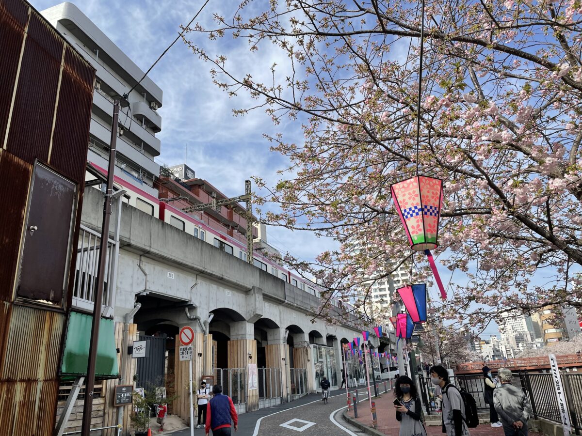 【京浜急行日ノ出町〜黄金町】車窓から見る大岡川沿いの桜並木