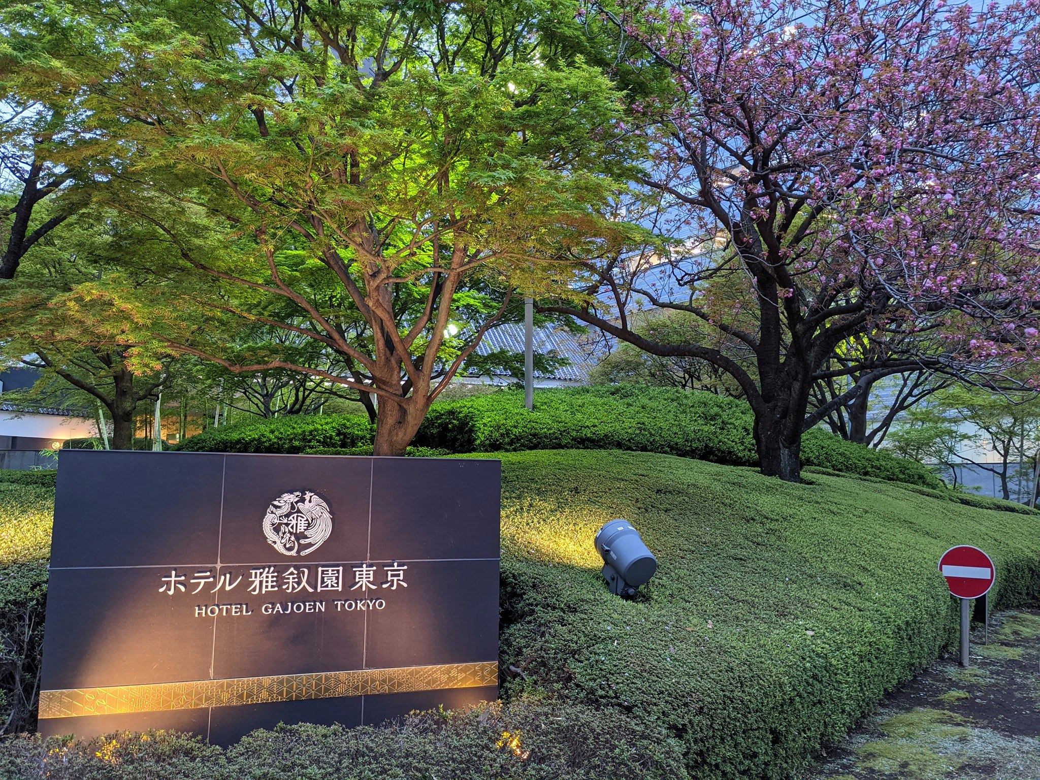 桜まつり - ホテル雅叙園東京と目黒川のサクラ雅-