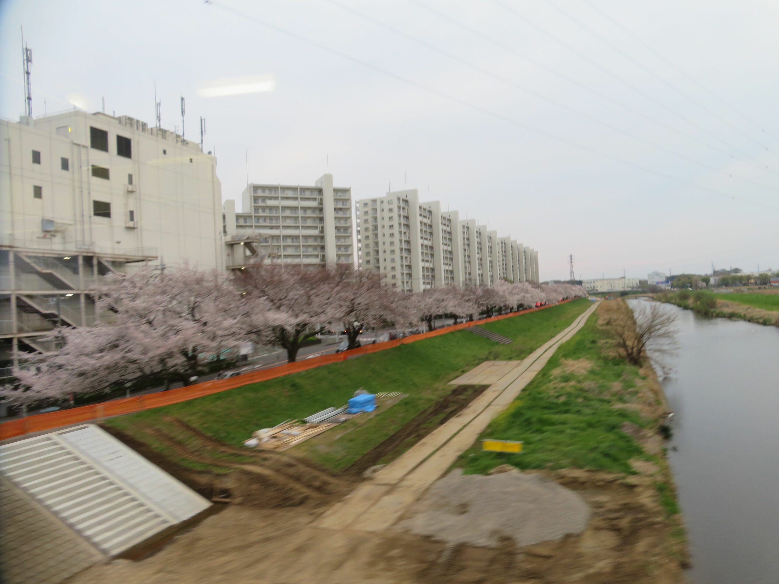 【東武東上線で車窓花見】柳瀬川～みずほ台の区間で両側に繋がる桜並木