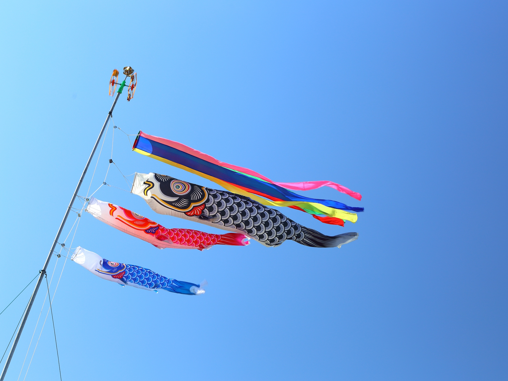 こいのぼりの値段はいくら？気になる価格を徹底解説！