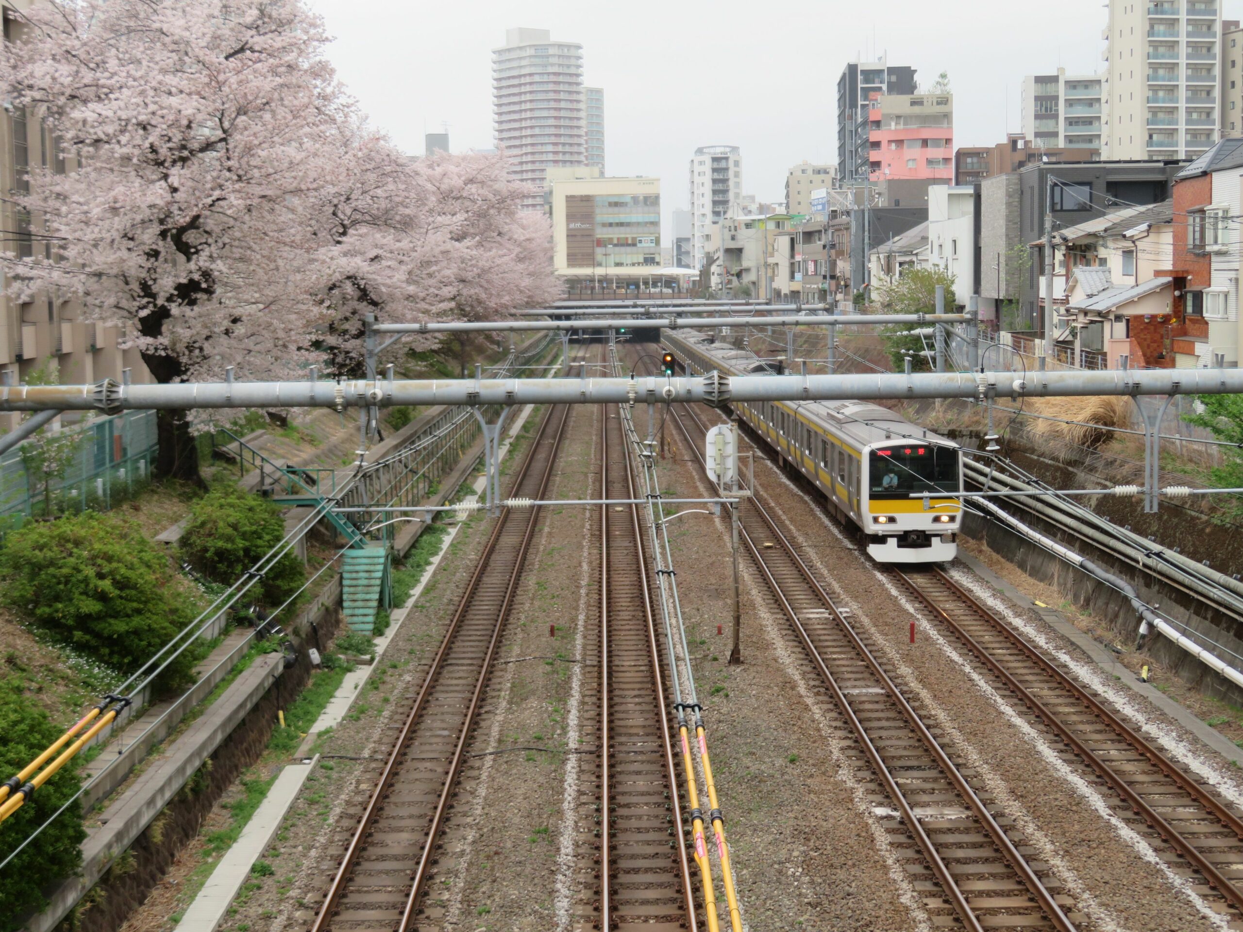 【総武線で車窓花見】東中野～中野の区間で線路の北側に接する桜山通り