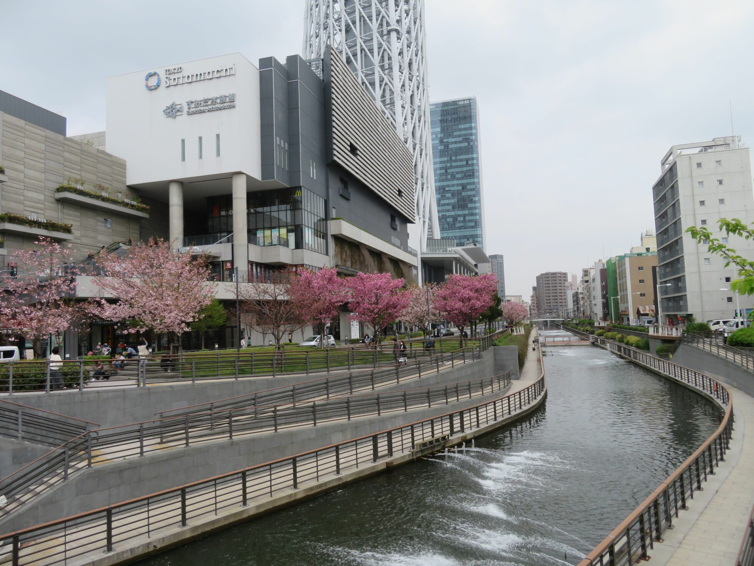 【ソラマチさくらまつり】東京スカイツリーの足元を彩る北十間川沿いの桜