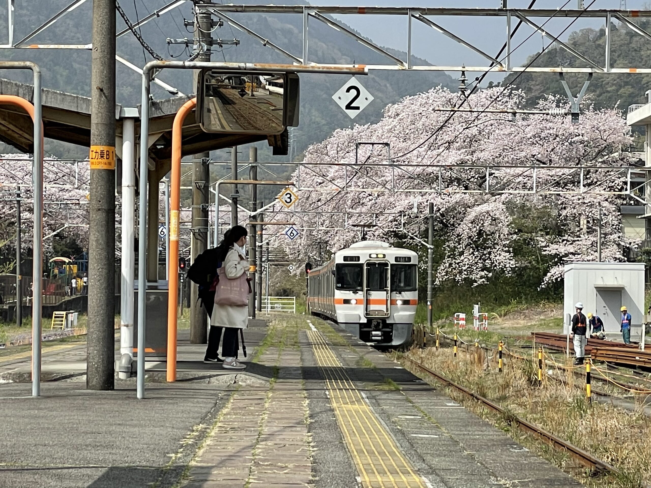 【御殿場線山北駅】桜のトンネルを通過する御殿場線