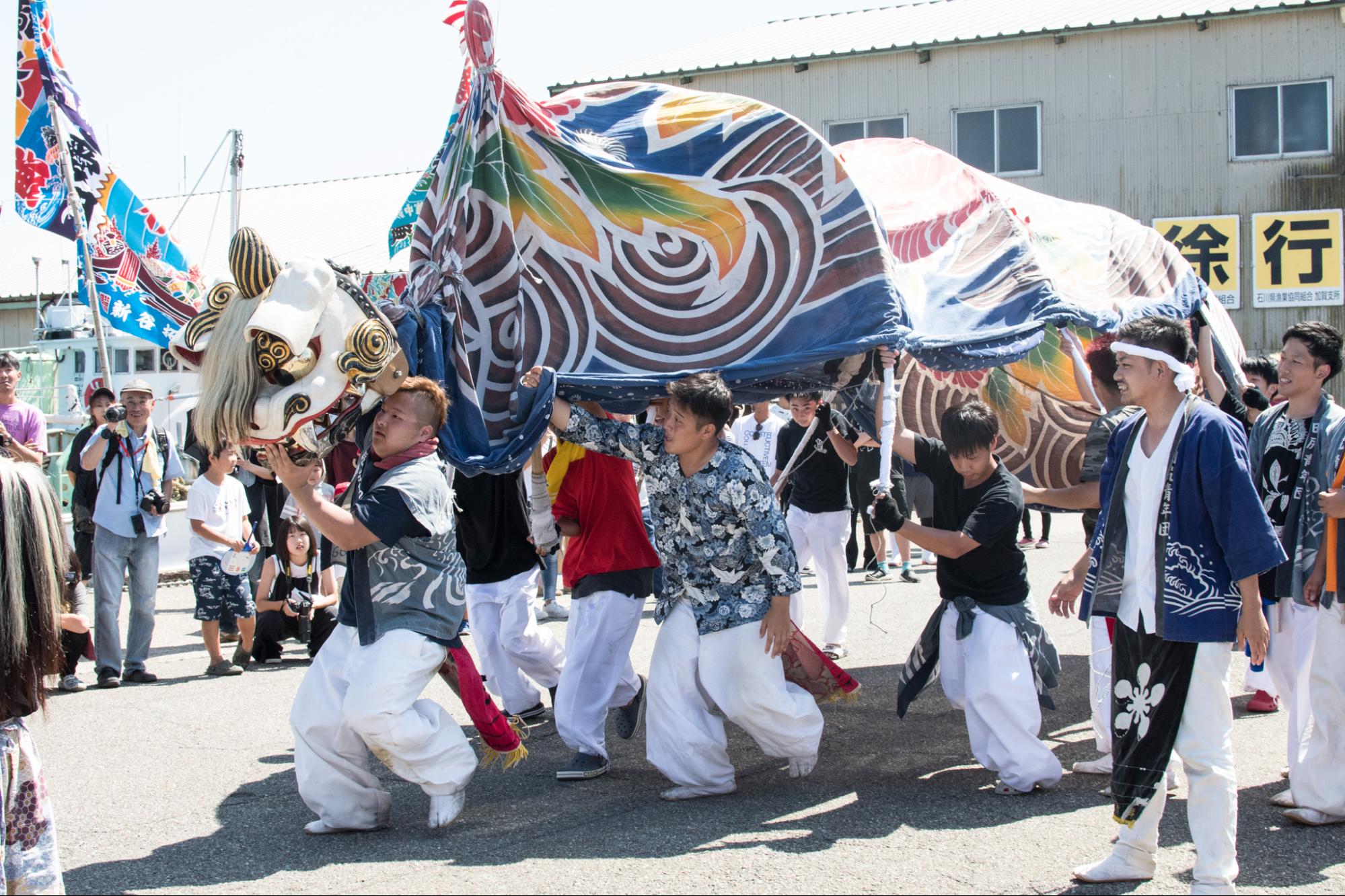 「橋立の獅子舞」勇壮な白い獅子舞、港町を舞う｜観光経済新聞