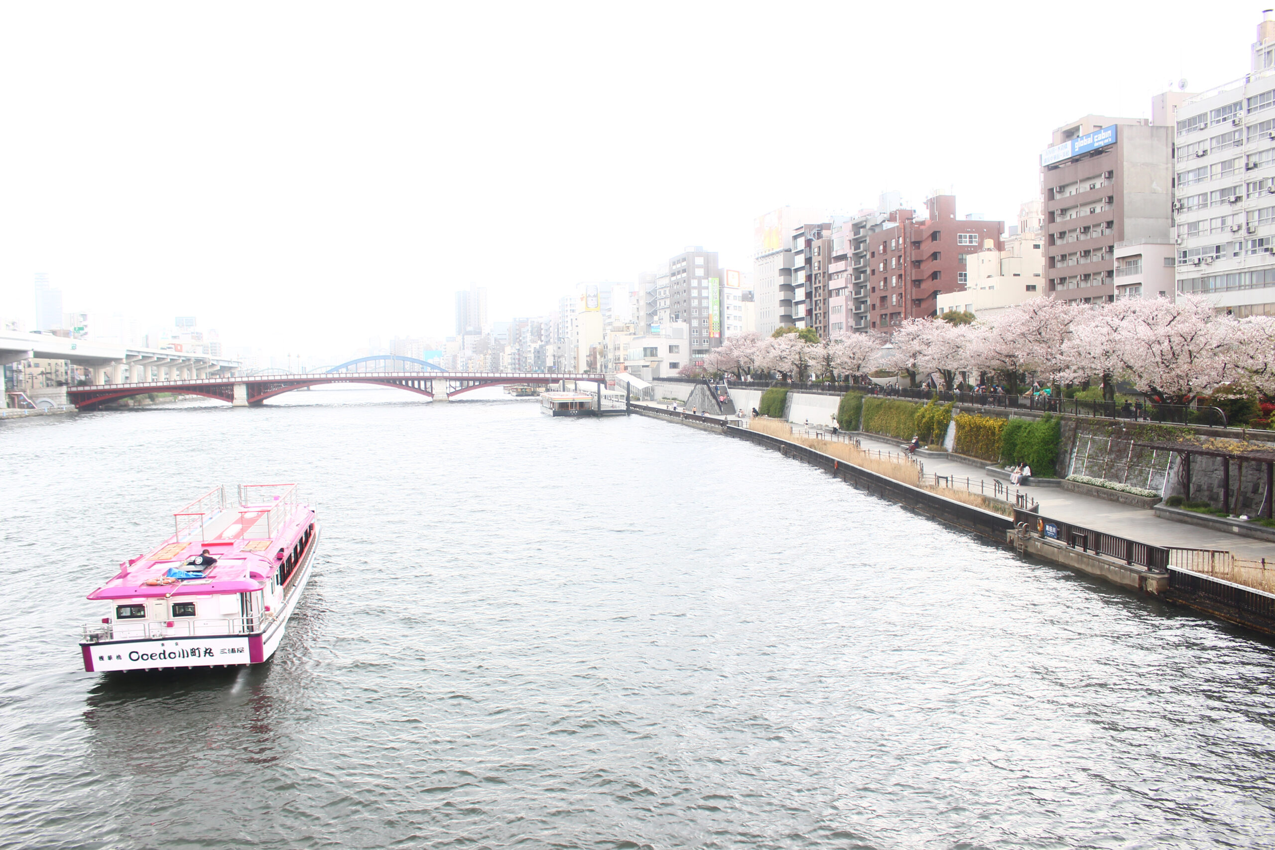 隅田公園は隅田川両岸に広がる桜の名所！オープンしたての話題の新施設も登場！？