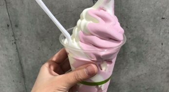 コストコはフードコートも楽しい！新作の「あまおうソフトクリーム」を実食レポ！