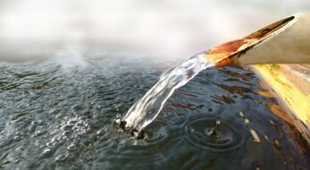 盆踊りの後は銭湯でスッキリ！ 都内で開催される夏の盆踊り3選