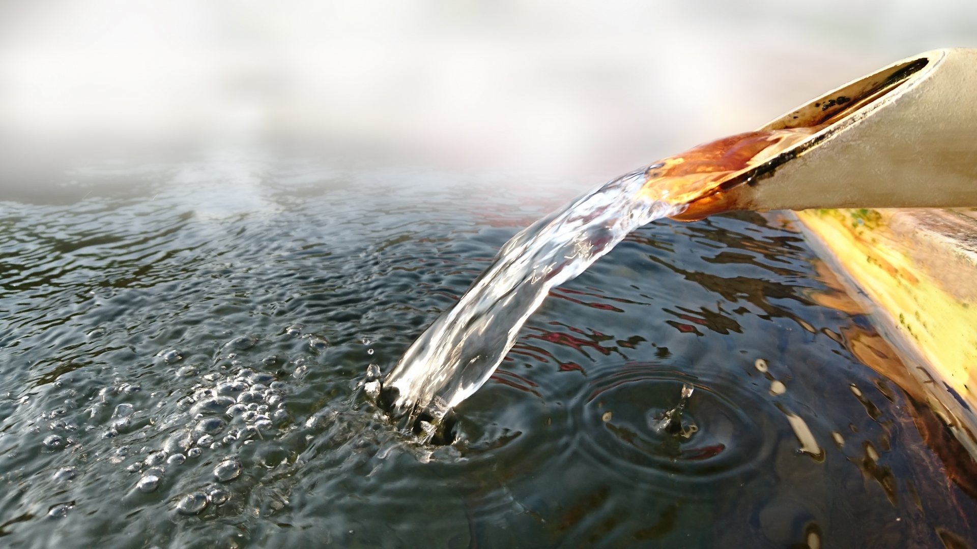 盆踊りの後は銭湯でスッキリ！ 都内で開催される夏の盆踊り3選