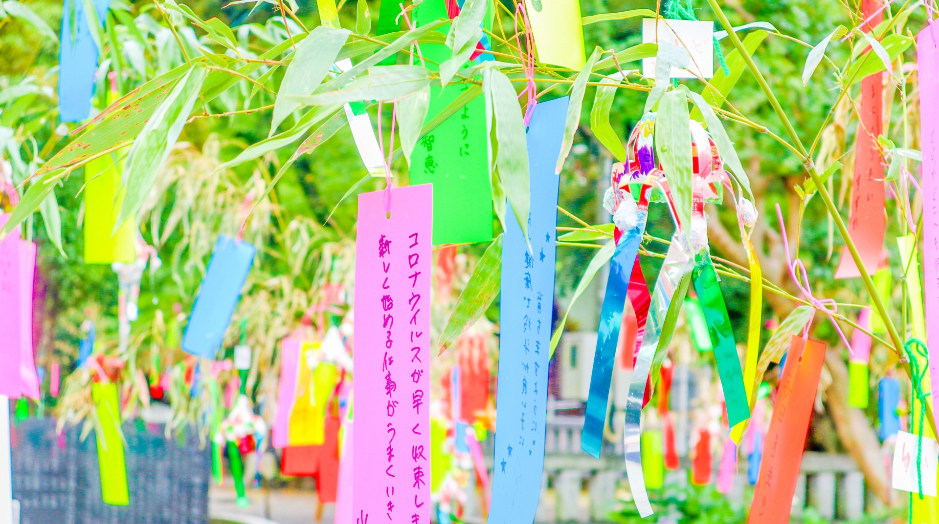 七夕飾りの作り方や折り方を徹底解説！飾りに込められた意味とは？