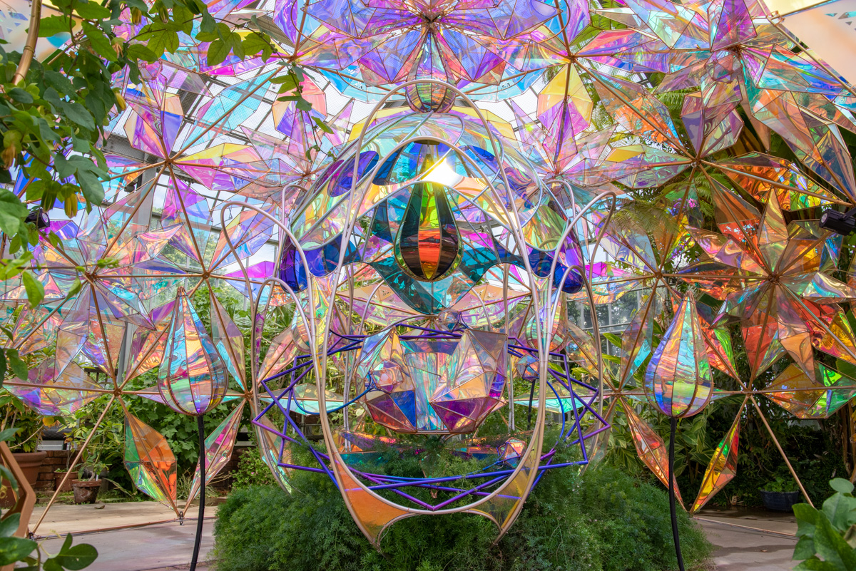 スプリングフェスティバル It’s on so Bloom! バラだけじゃない！光や花のアート、アジサイも楽しめる！