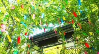 今年は乗れる？七夕の織姫や彦星にちなんだ七夕列車＆特別列車4選