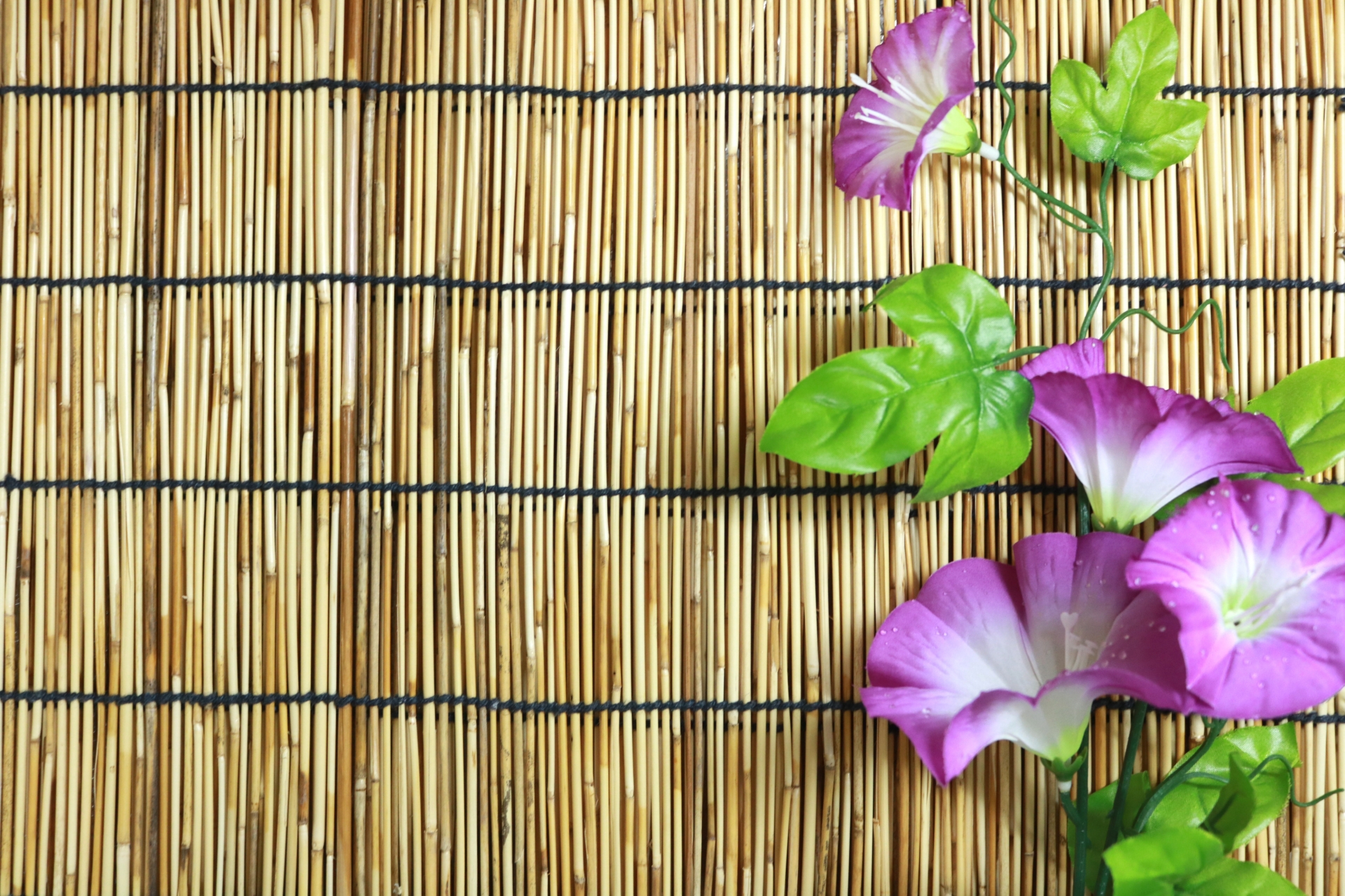 夏はもう目の前！涼しい気分になれる朝顔の御朱印5選