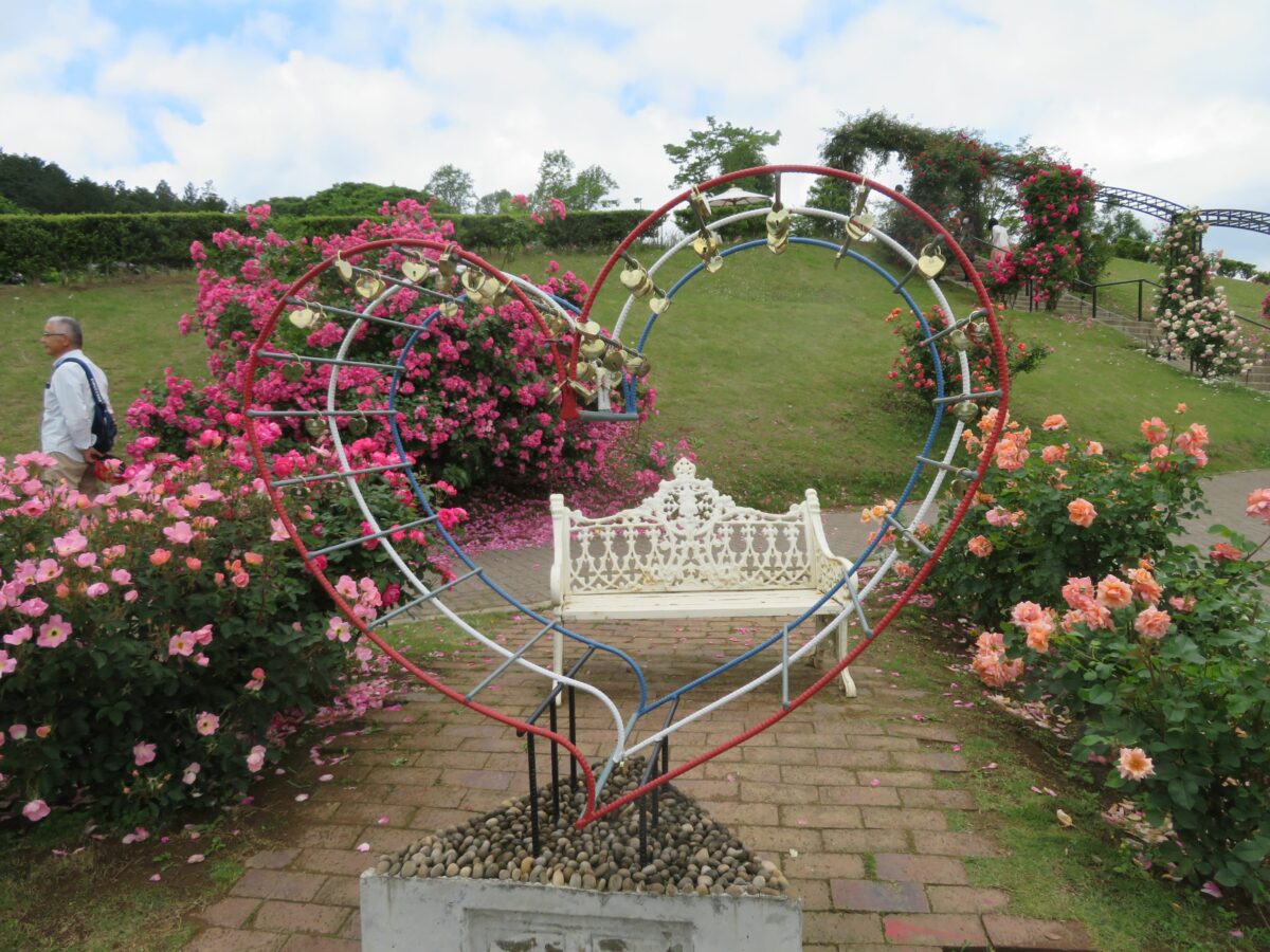 いばらきフラワーパークの約900種、9000株の春バラは今が見頃！