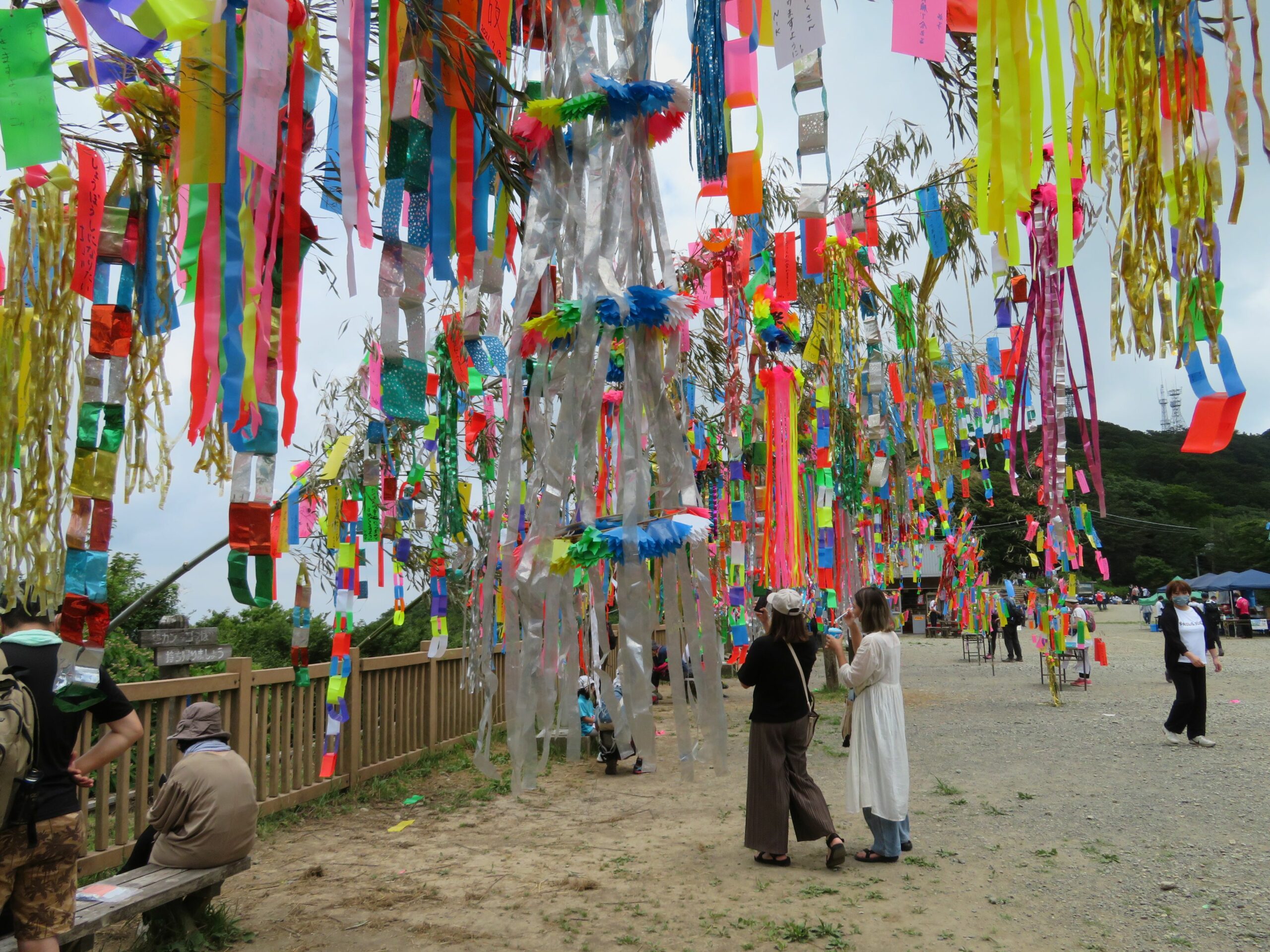 筑波山頂七夕まつりの開催期間に御幸ヶ原で風に靡く約10本の竹笹