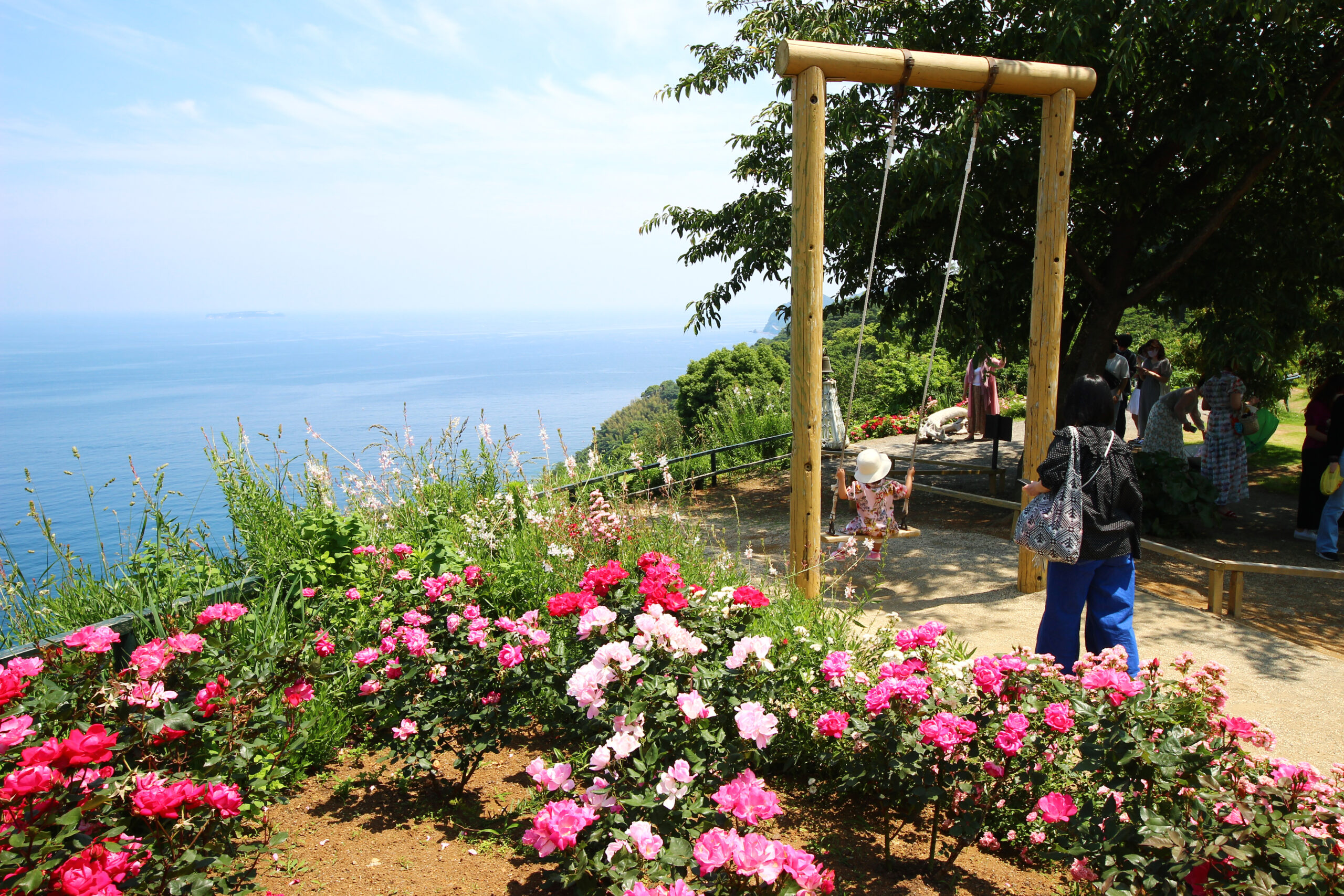 熱海ローズフェスティバル2021！600品種・4000株のバラがカラフルに咲くガーデン