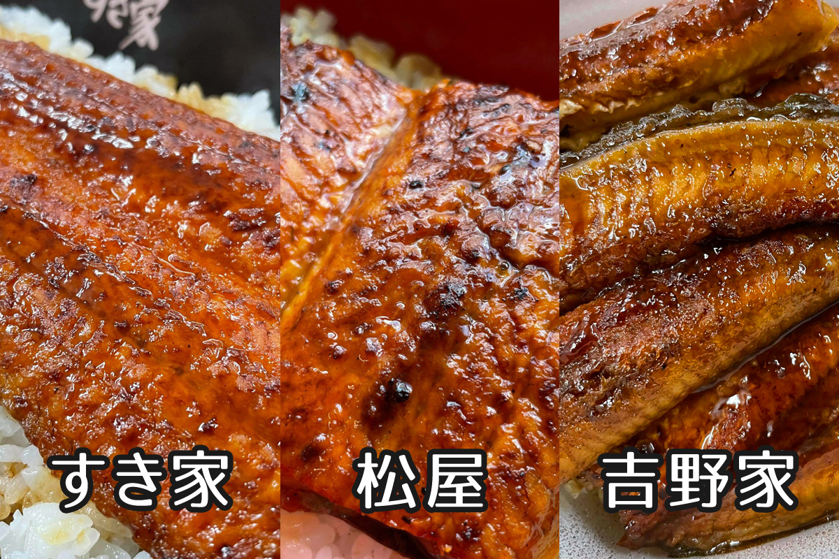 吉野家・すき家・松屋のうなぎを食べ比べ！味は？値段は？2021年まとめ