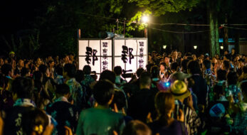 猫のまねをする盆踊り？郡上おどり・白鳥おどりの「猫の子」を徹底解剖！