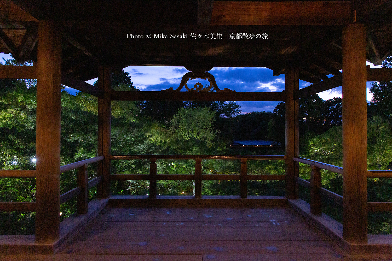 史上初！「東福寺」青もみじライトアップ特別散策と四季の写真を比べてみた