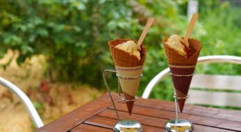 牧草ジェラートってどんな味！？関東で人気のご当地ジェラート5選