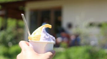 納豆の発祥はどこか知ってる？王道から個性派まで近畿の人気ジェラート5選！