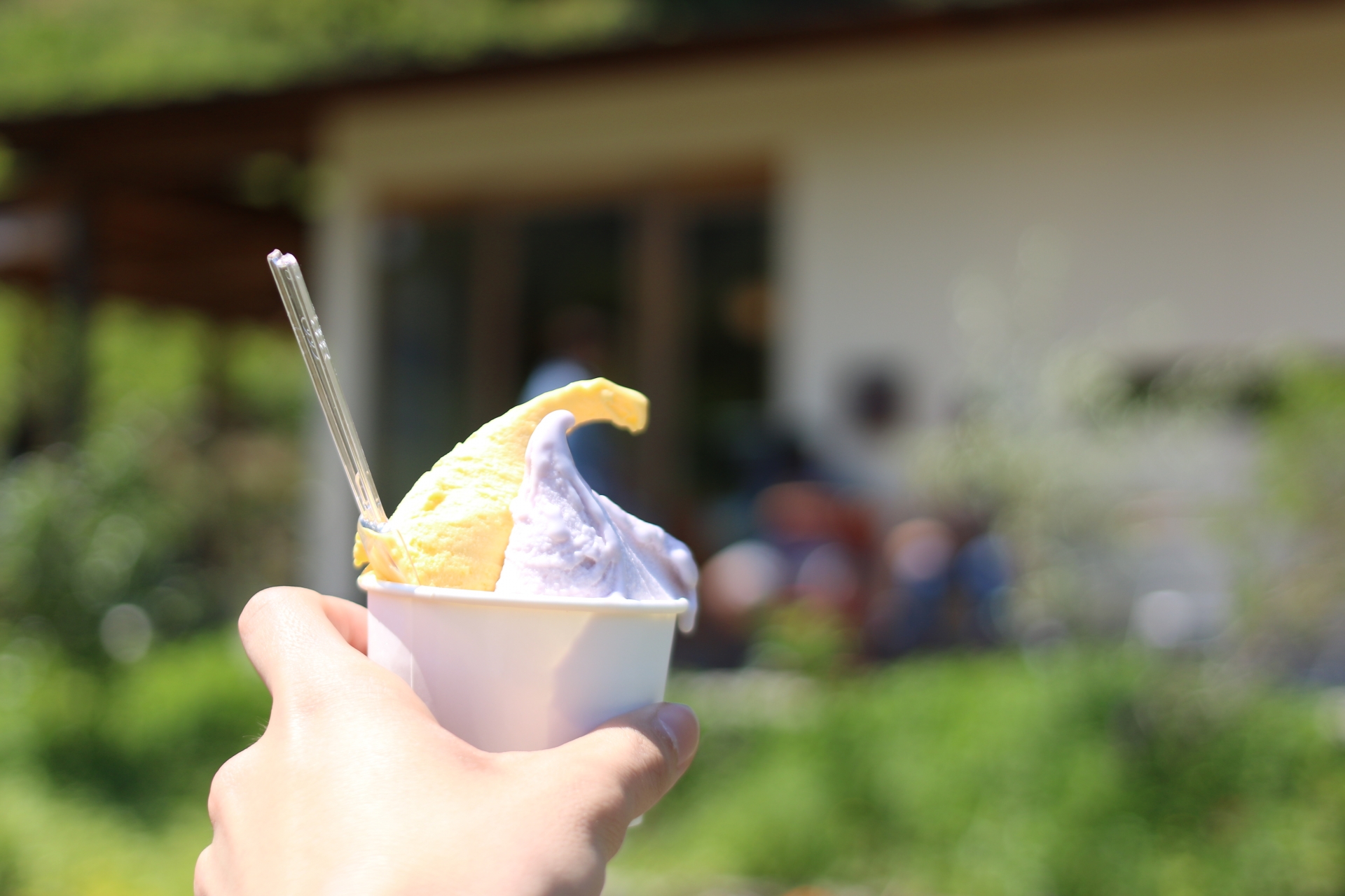 納豆の発祥はどこか知ってる？王道から個性派まで近畿の人気ジェラート5選！