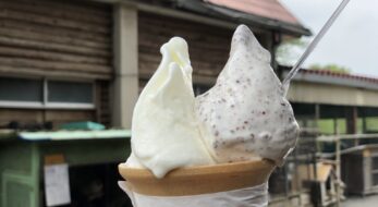おまっと牛乳に世界一濃い抹茶！？中部地方の人気ジェラート5選