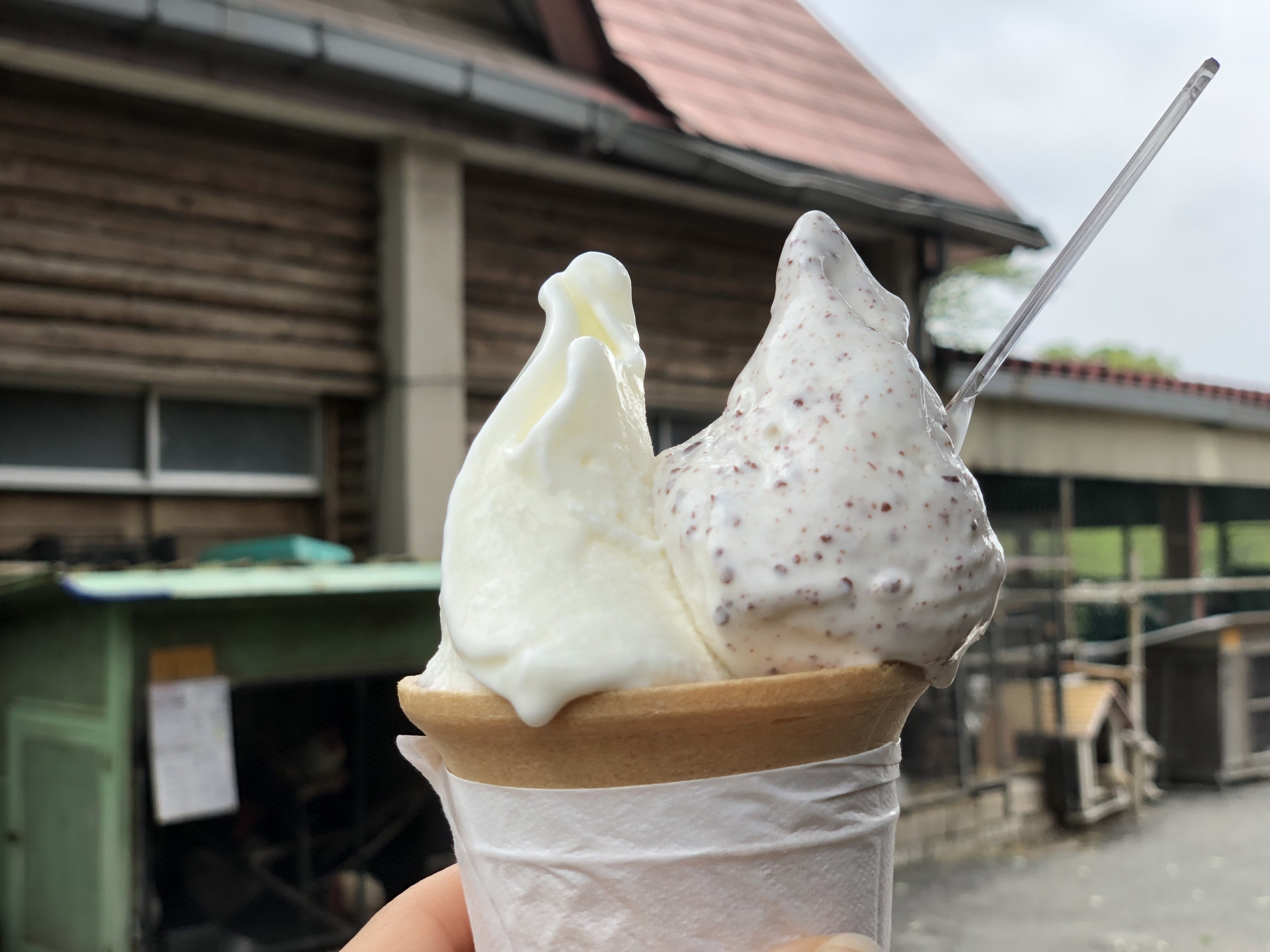 おまっと牛乳に世界一濃い抹茶！？中部地方の人気ジェラート5選