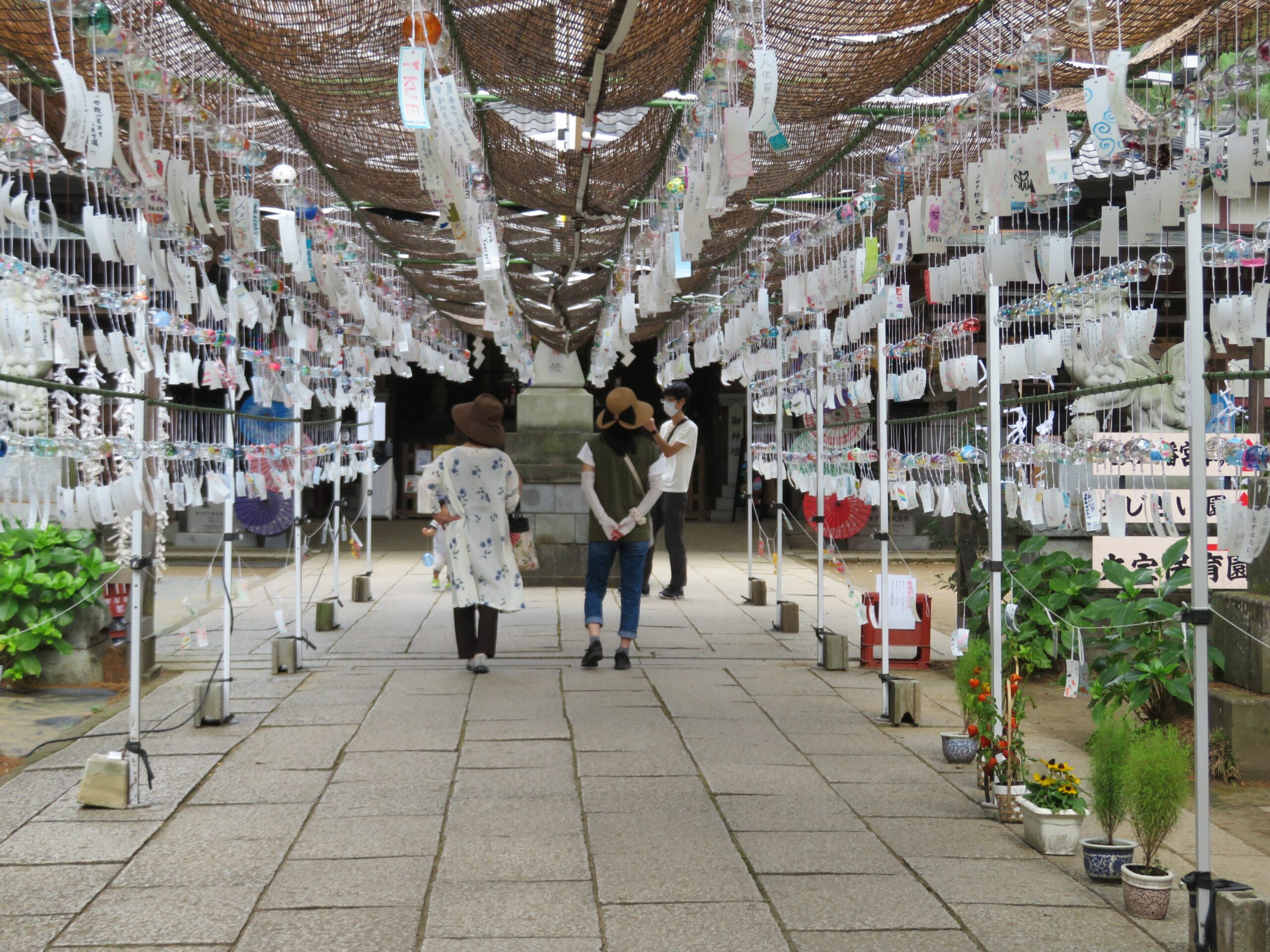 大宝八幡宮風鈴まつりが開催！下妻市の千古の社に涼感を運ぶ約1000個の風鈴