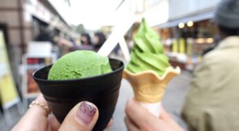 濃厚なミルクに抹茶、旬の果実！九州の人気ジェラート5選