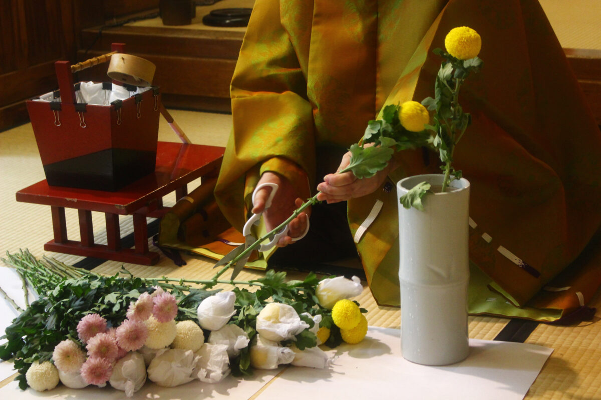 重陽祭を速報レポ！大阪、少彦名神社の秋の祭り。菊の御朱印、お守りが登場