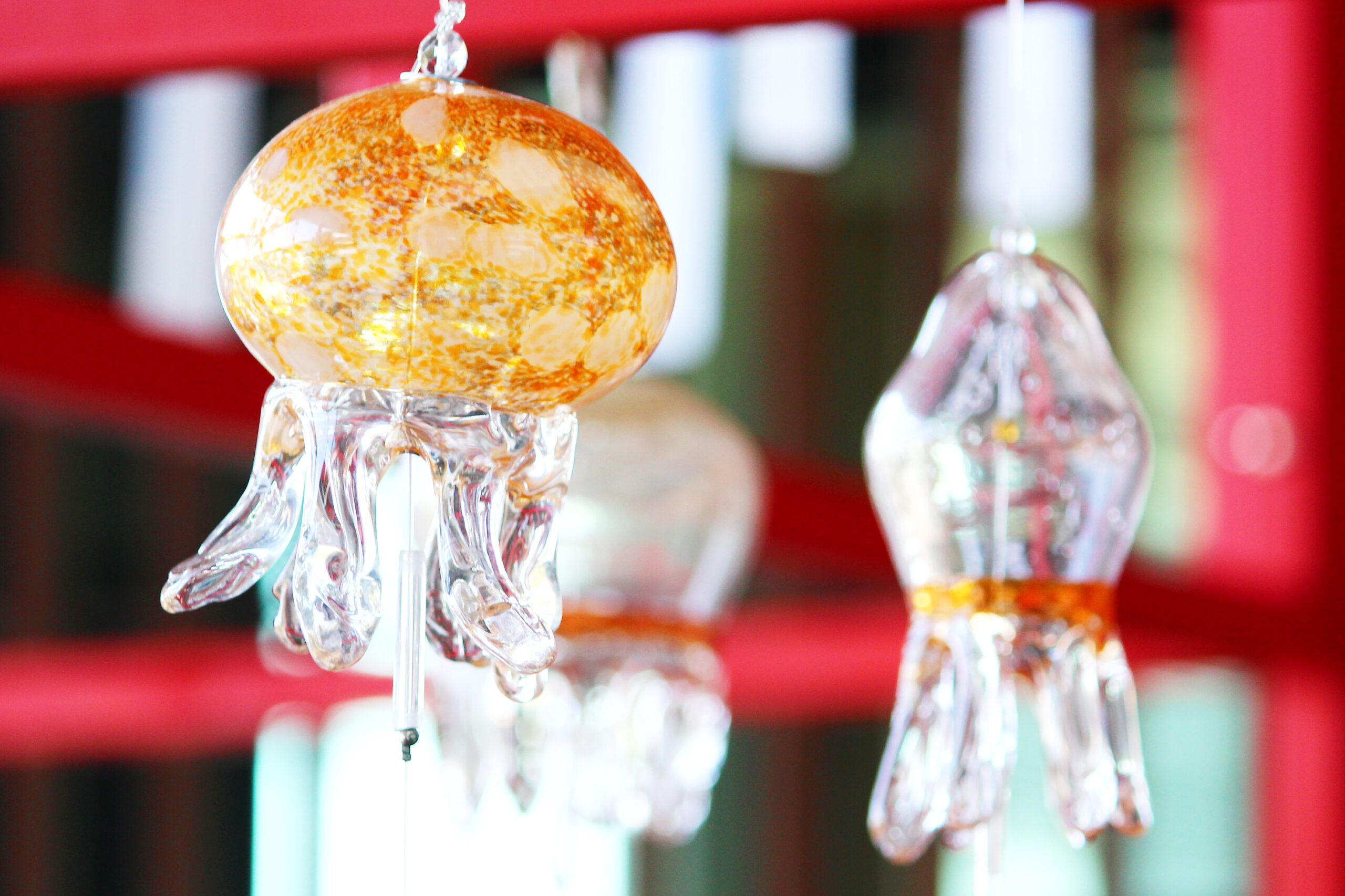 くらげと風鈴が京都水族館で開催中！飼育員さんの熱意が風鈴になった！？