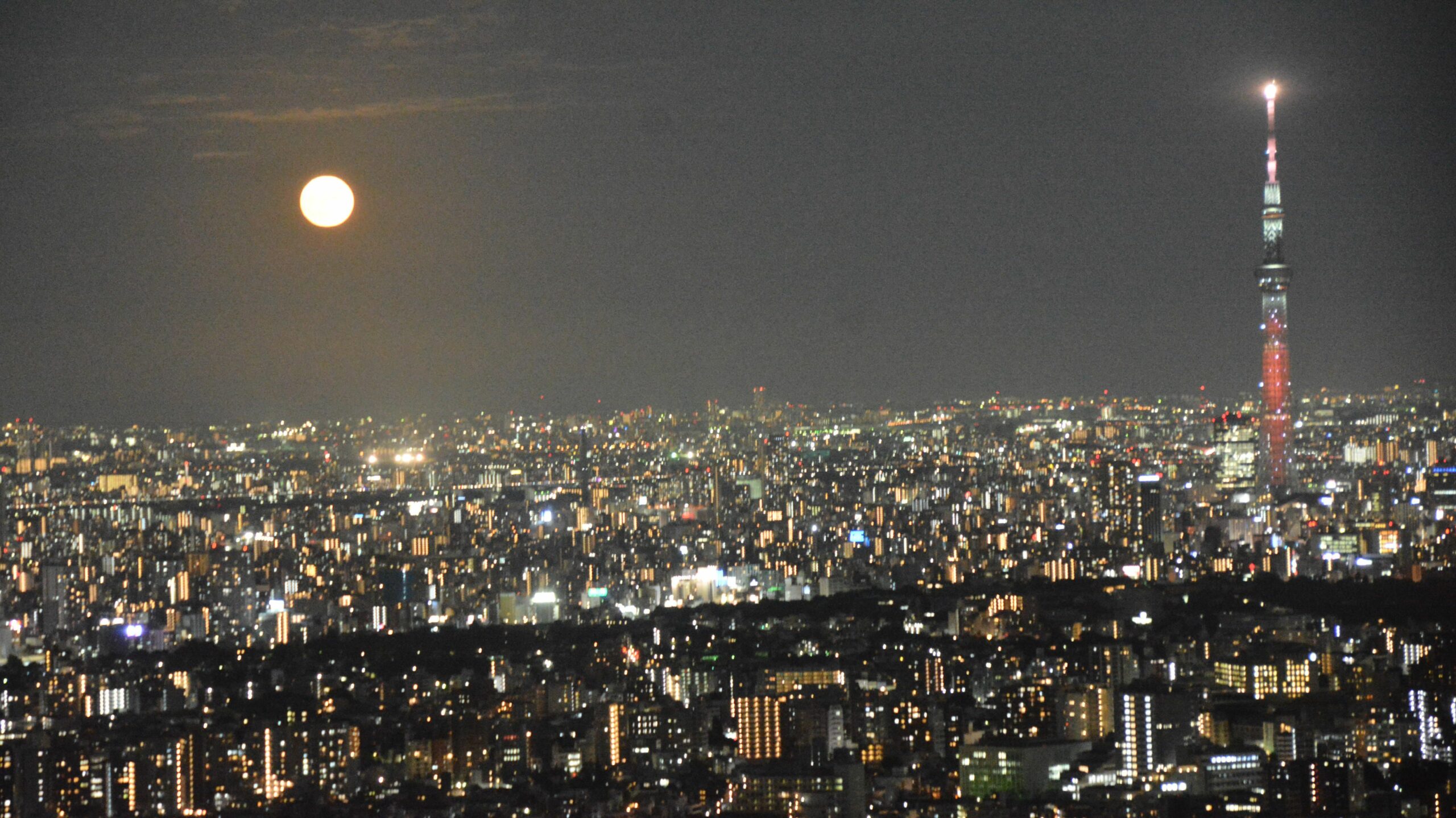 東京・池袋で日本百名月を見る！サンシャイン60「中秋の名月観賞会」で海抜約251メートルの天体観測