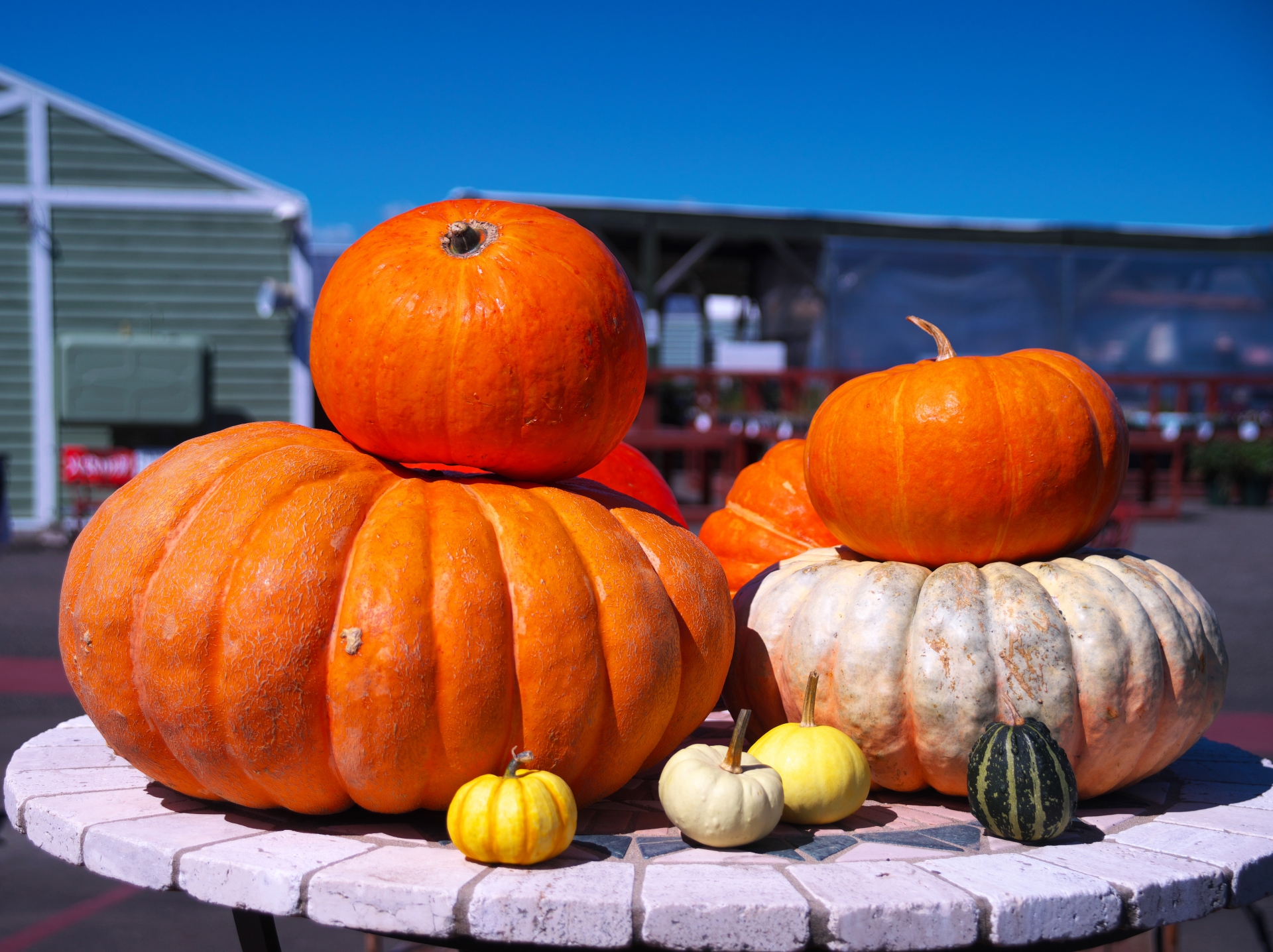 ハロウィンのシンボル「かぼちゃ」にちなんだ全国のお祭り4選！