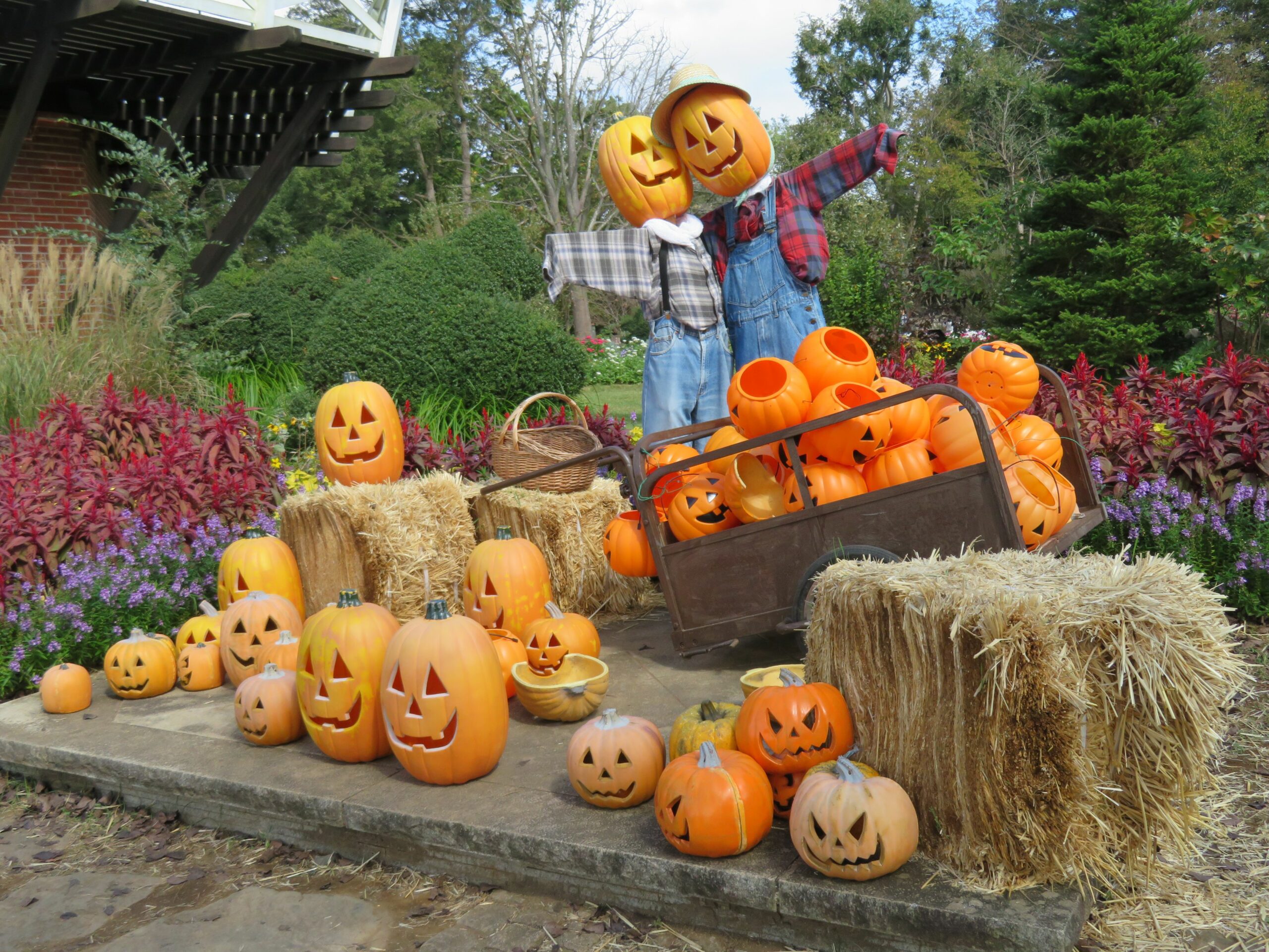 ふなばしアンデルセン公園ハロウィンが開催中、園内に溢れるカボチャなどの装飾