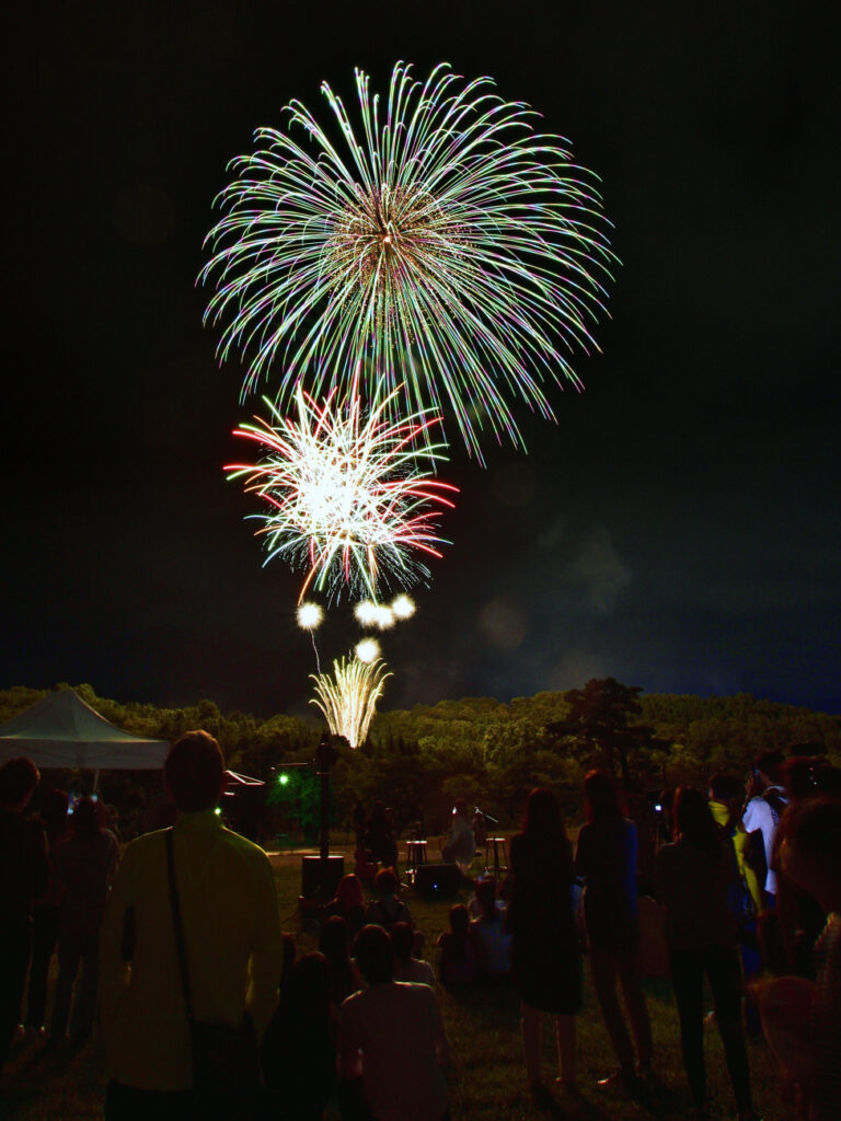 盛岡どんぱ第０回 ～来年こそは第1回！サプライズ花火「光の道標」～