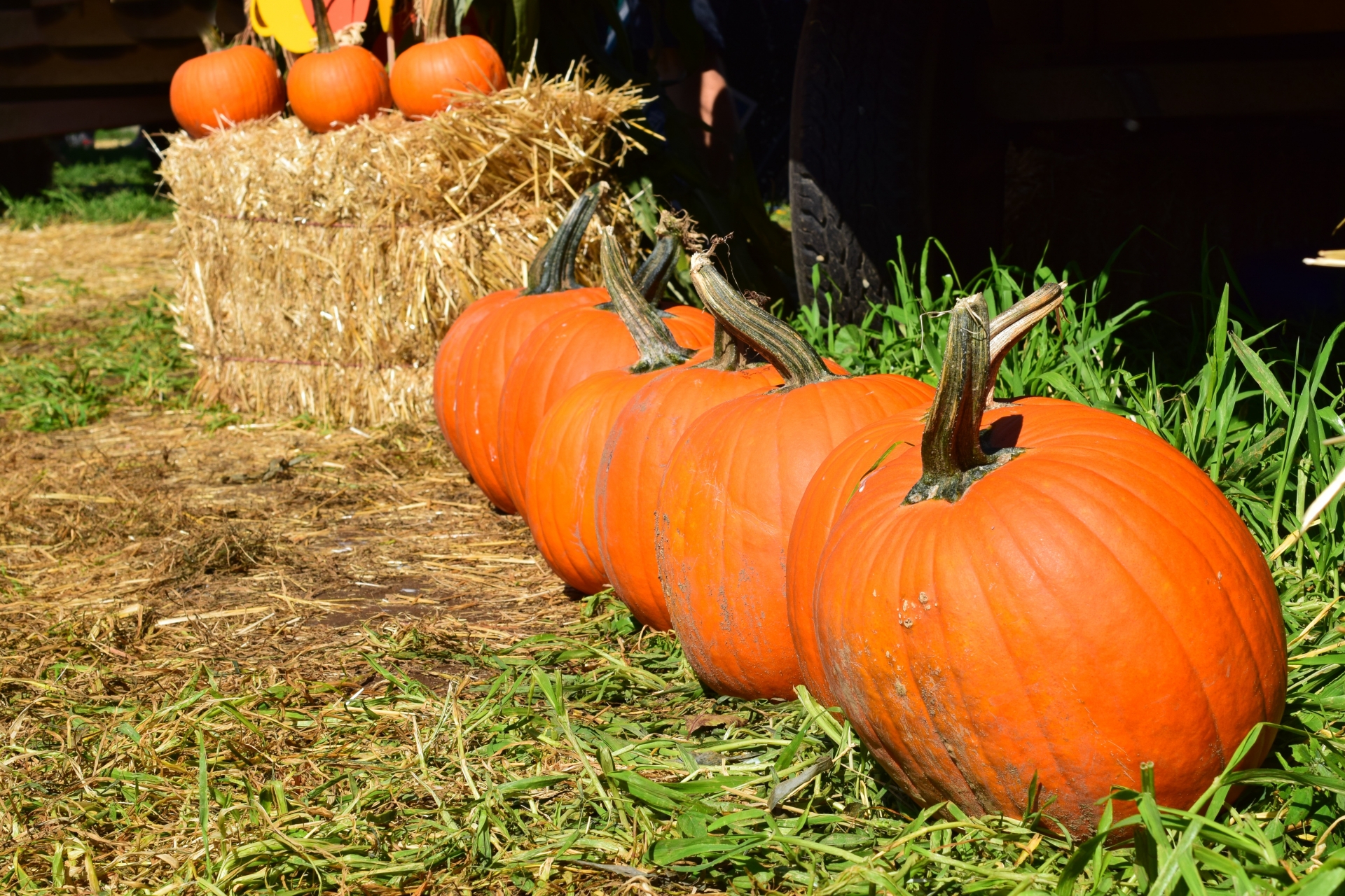 今日から楽しめる！東京で開催中のおすすめハロウィンイベント5選〈2021年版〉