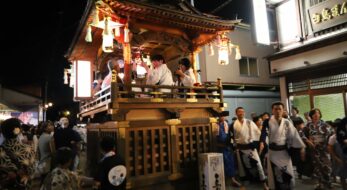 私が岐阜県郡上市の盆踊り「白鳥おどり」にどハマりしたワケ。7年間通って見えてきた白鳥の深い魅力【告知あり】