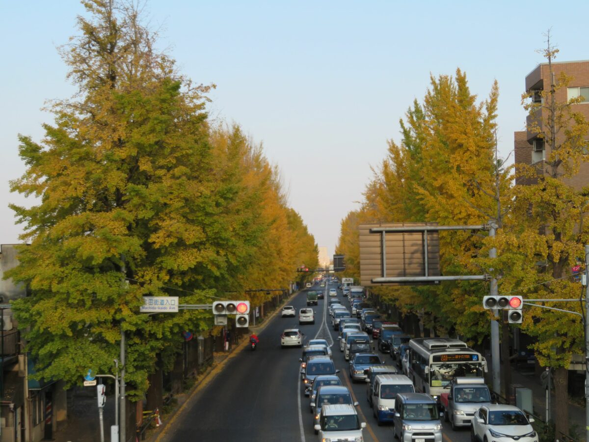 八王子いちょう祭りが開催！5キロを超える黄葉のラインを関所オリエンテーリング
