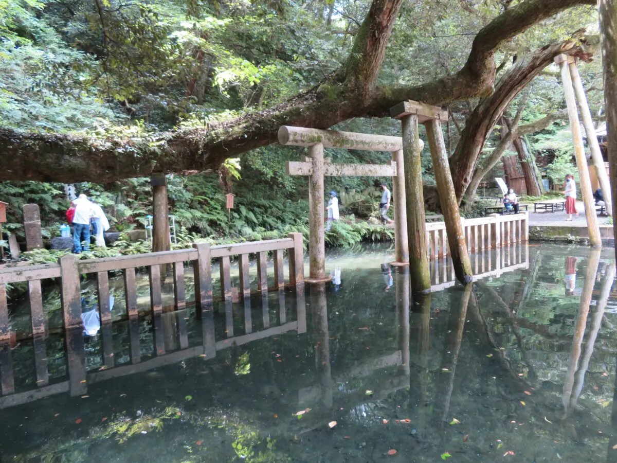 実はパワスポだらけ！ 茨城のパワースポットと御朱印5選！