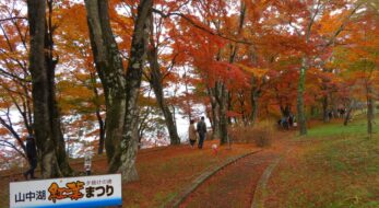 山中湖紅葉まつりが開催！多彩なイベントが企画される富士五湖の湖畔