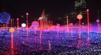 2021－2022年シーズン開催中のみ厳選！関東の人気イルミネーションスポット22箇所まとめ